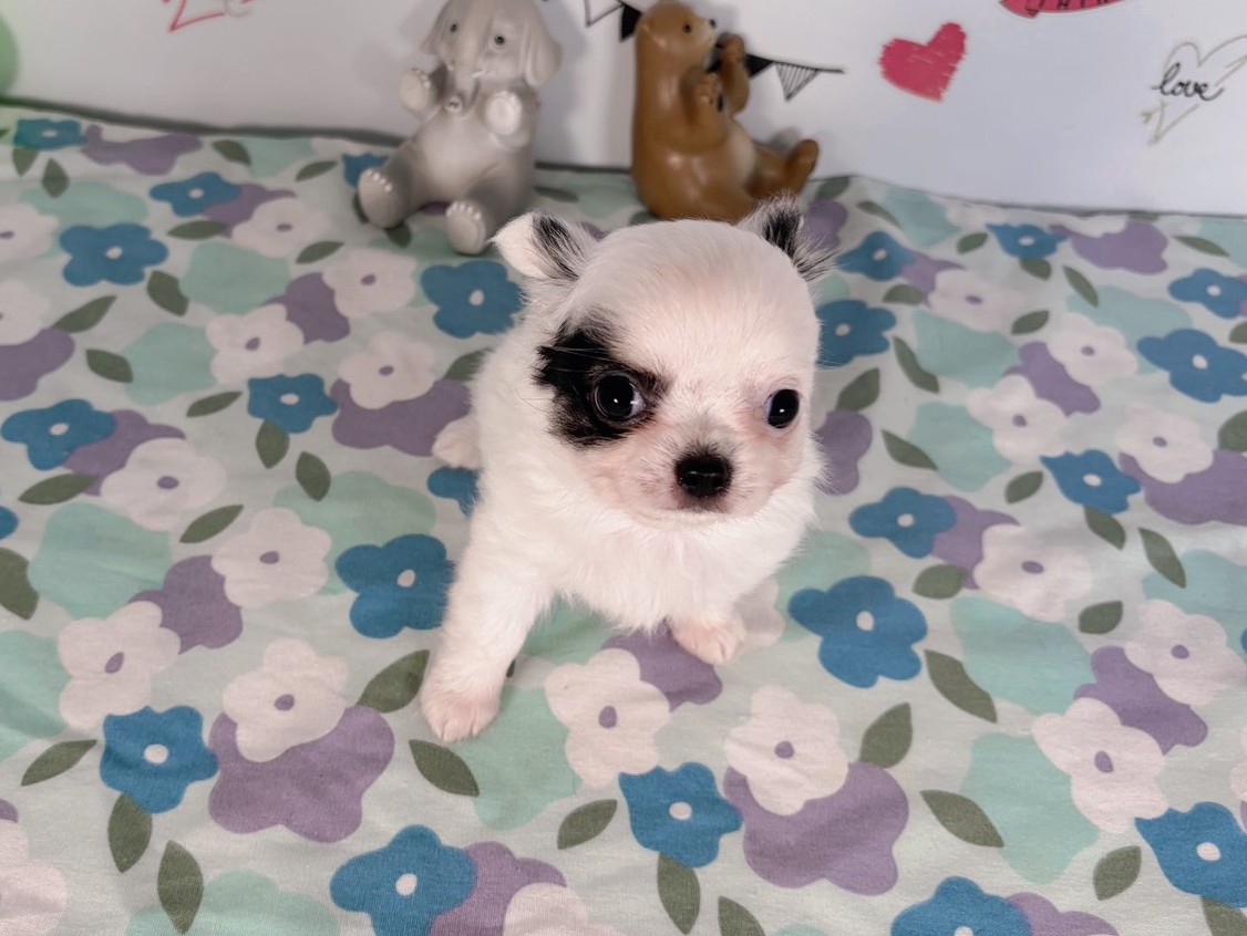 赤ちゃん写真3-1