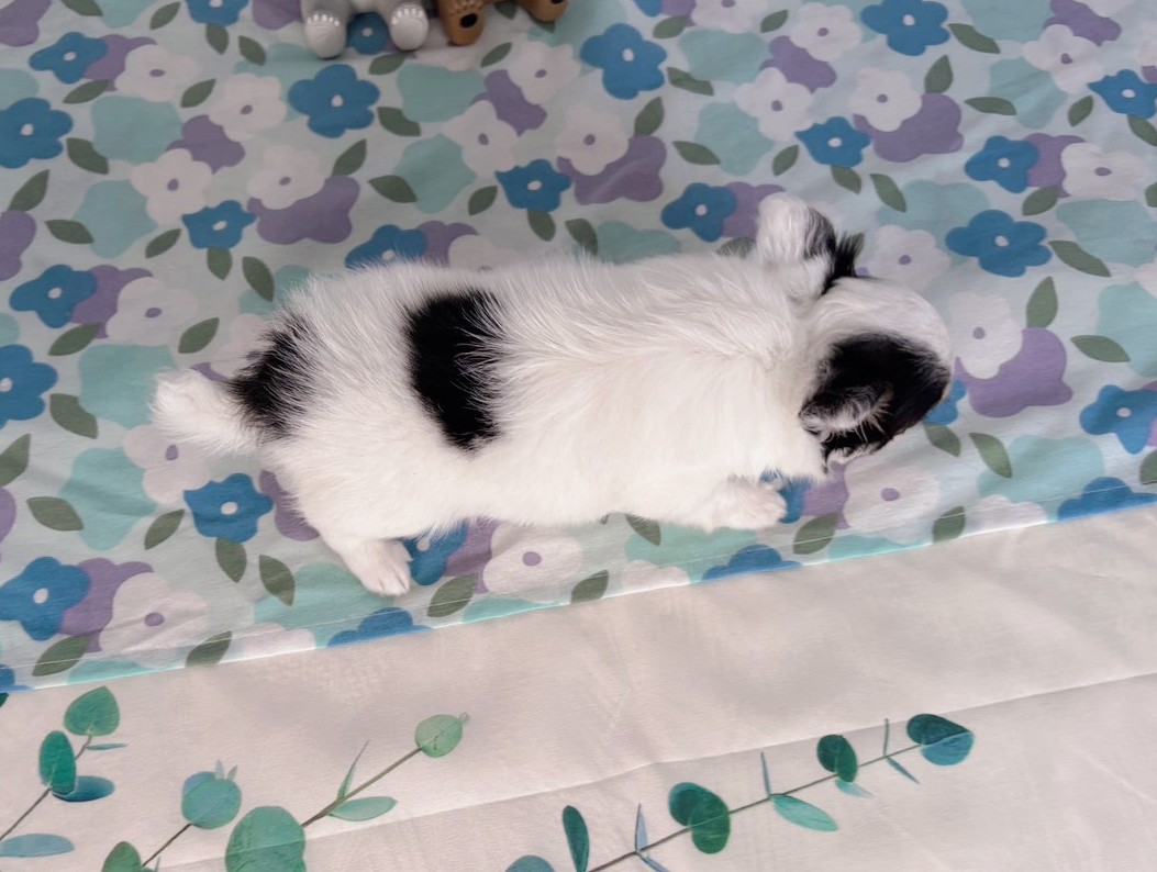 赤ちゃん写真3-3