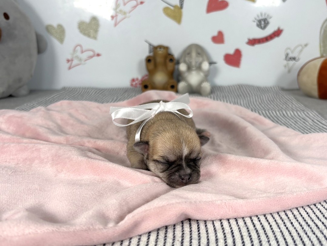 赤ちゃん写真1-1