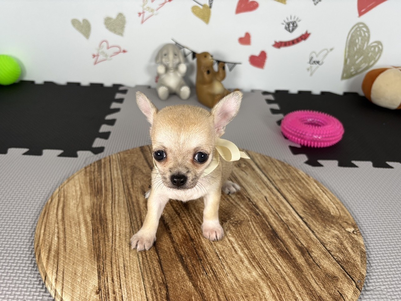 赤ちゃん写真2-1