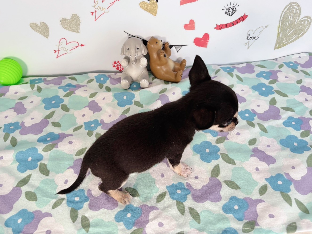 赤ちゃん写真3-3