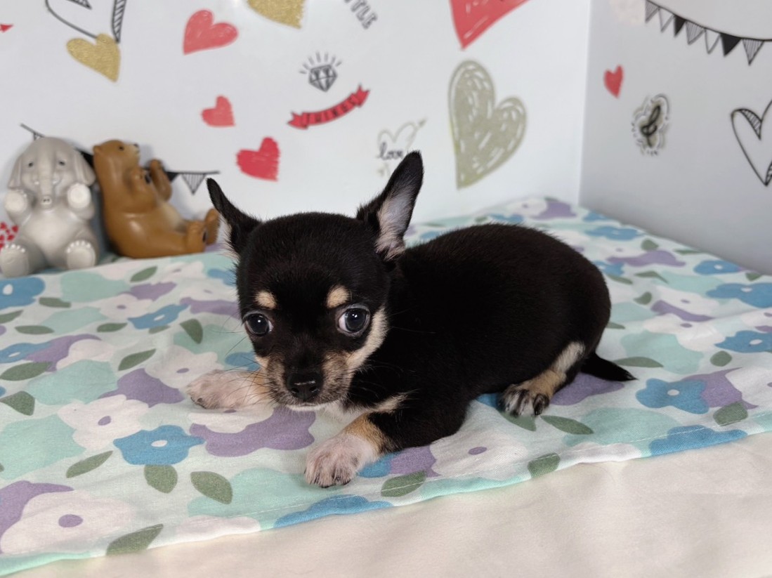 赤ちゃん写真3-2