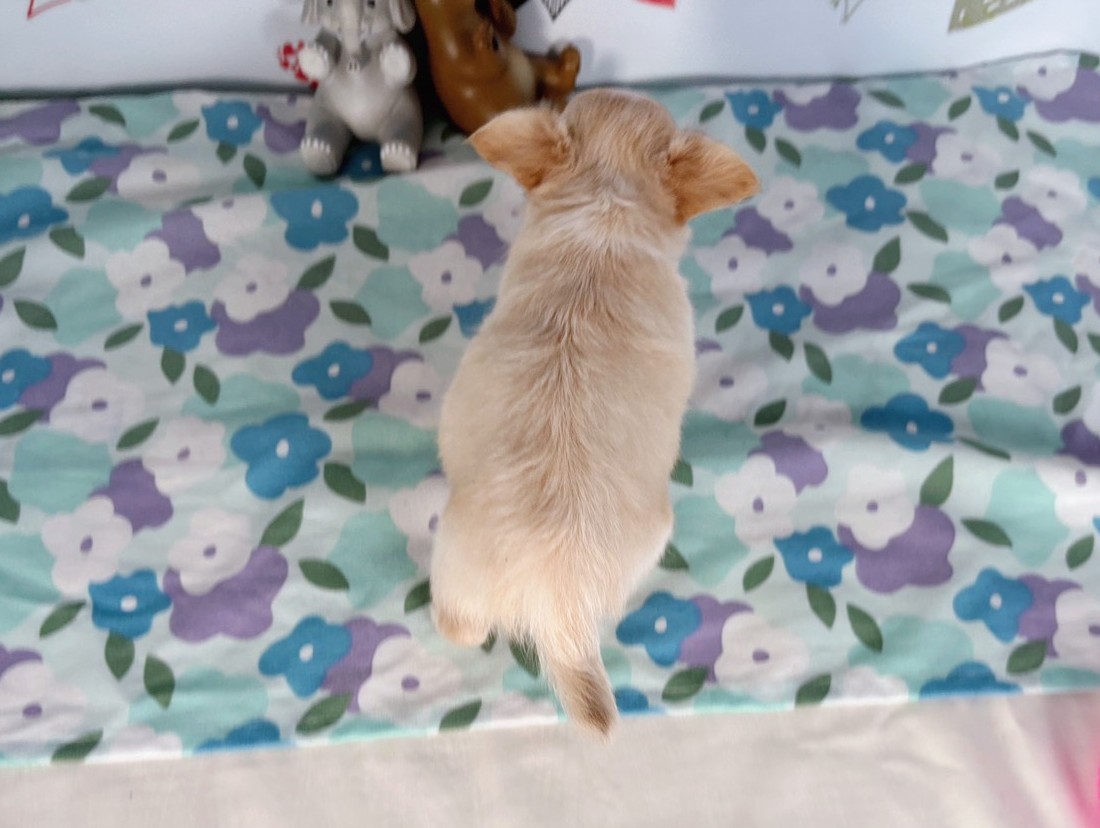 赤ちゃん写真3-3