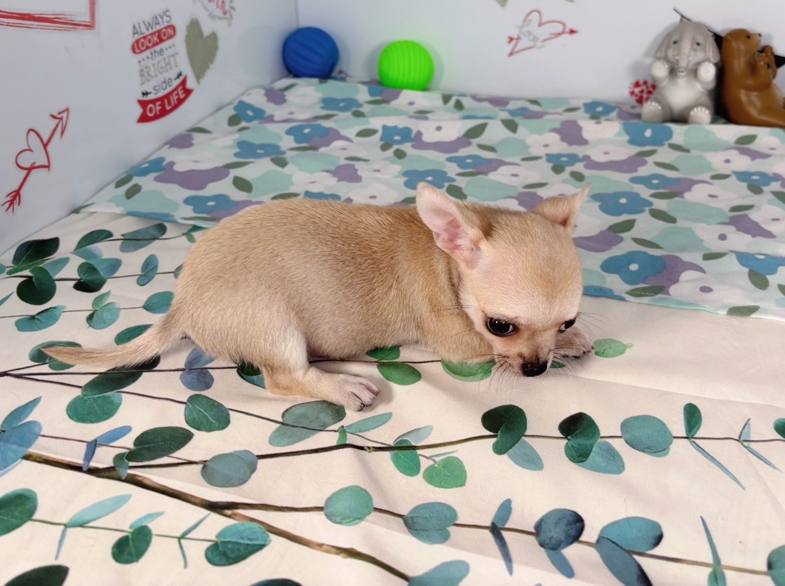 赤ちゃん写真3-2