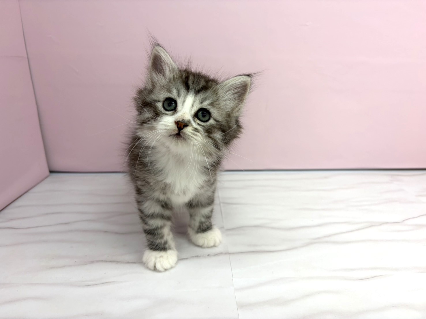 赤ちゃん写真2-1