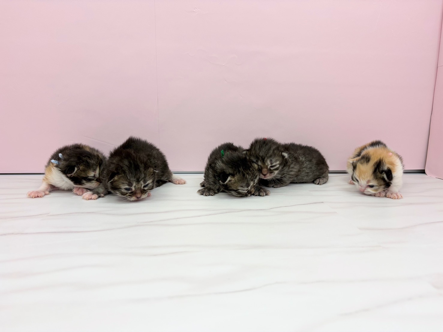 赤ちゃん写真1-3