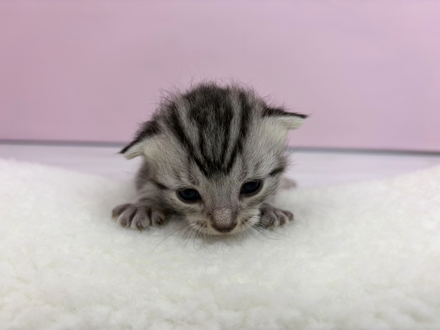 赤ちゃん写真1-1