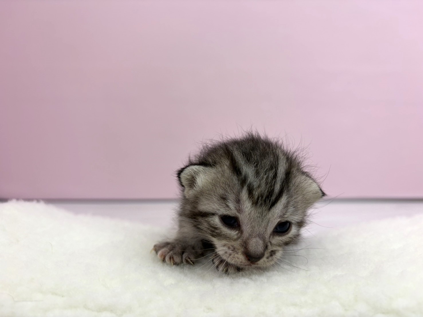 赤ちゃん写真1-1
