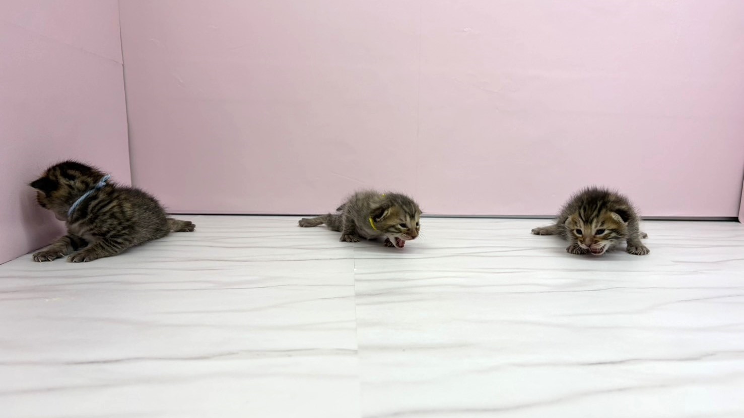 赤ちゃん写真1-3