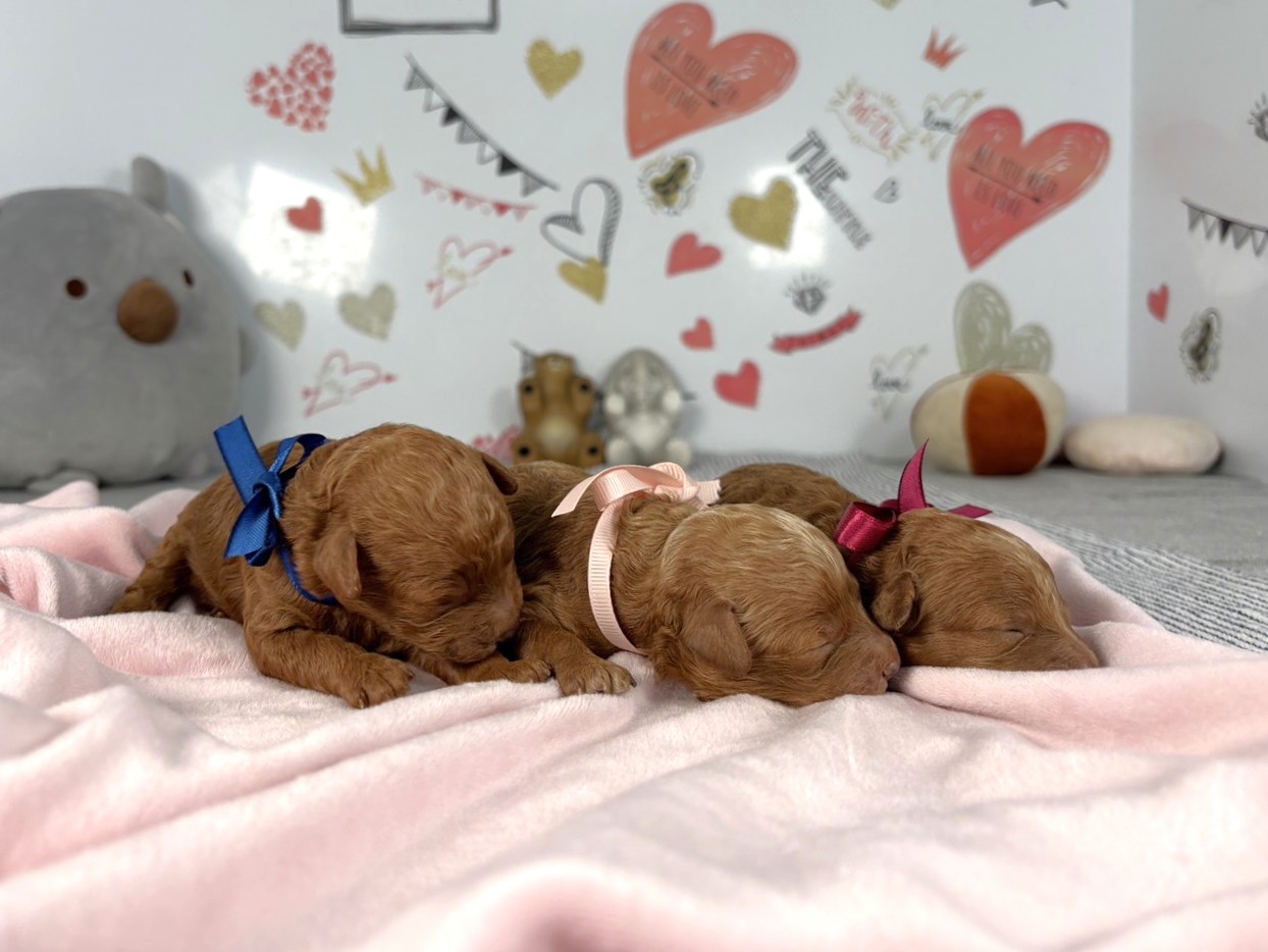 赤ちゃん写真1-3