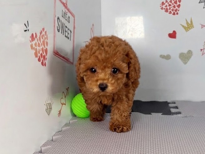 赤ちゃん写真3-1