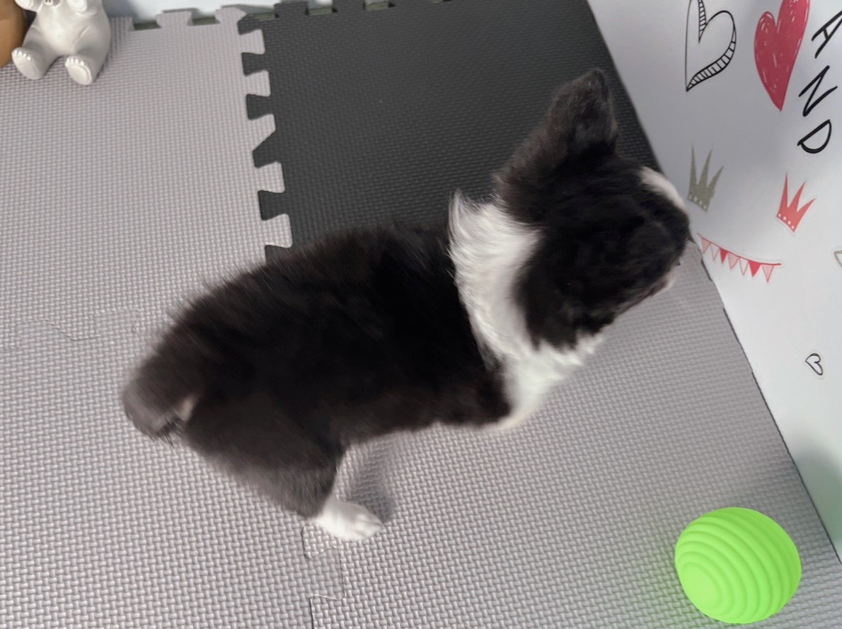 赤ちゃん写真3-3