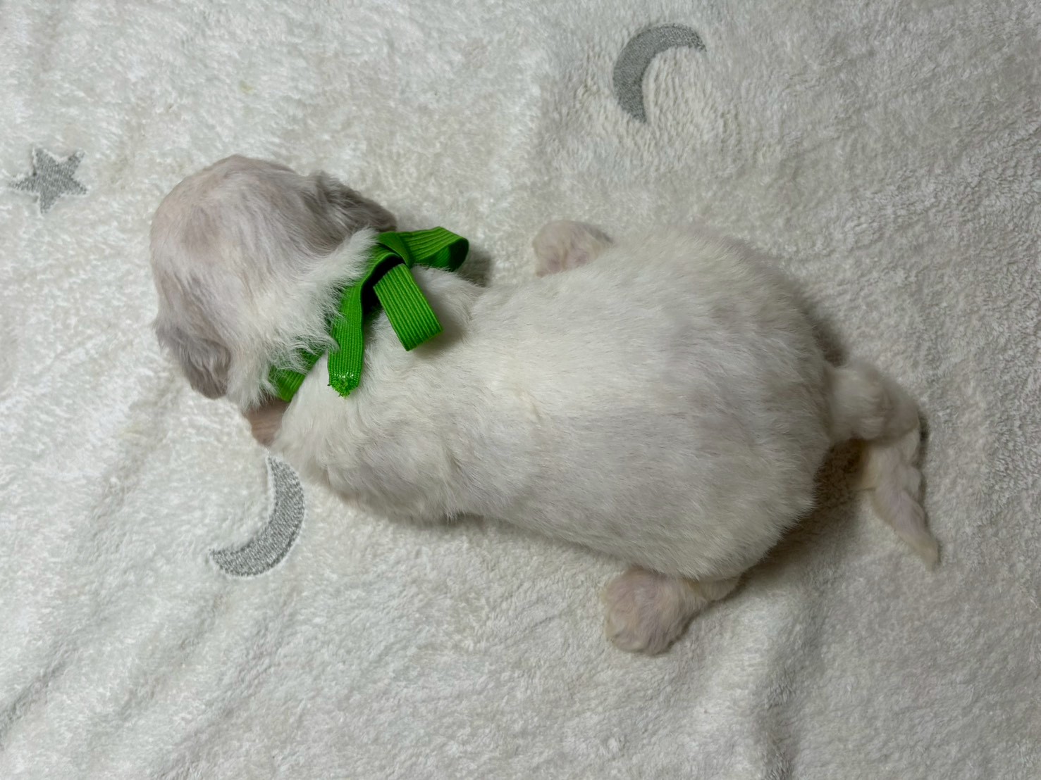 赤ちゃん写真2-3