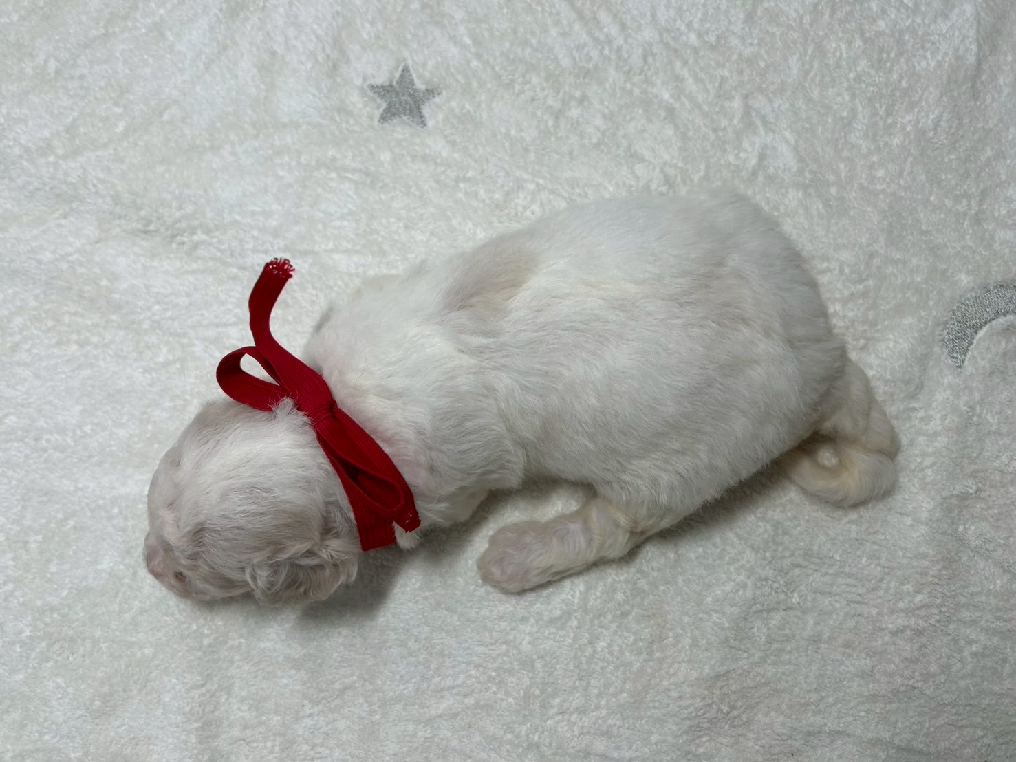 赤ちゃん写真2-3