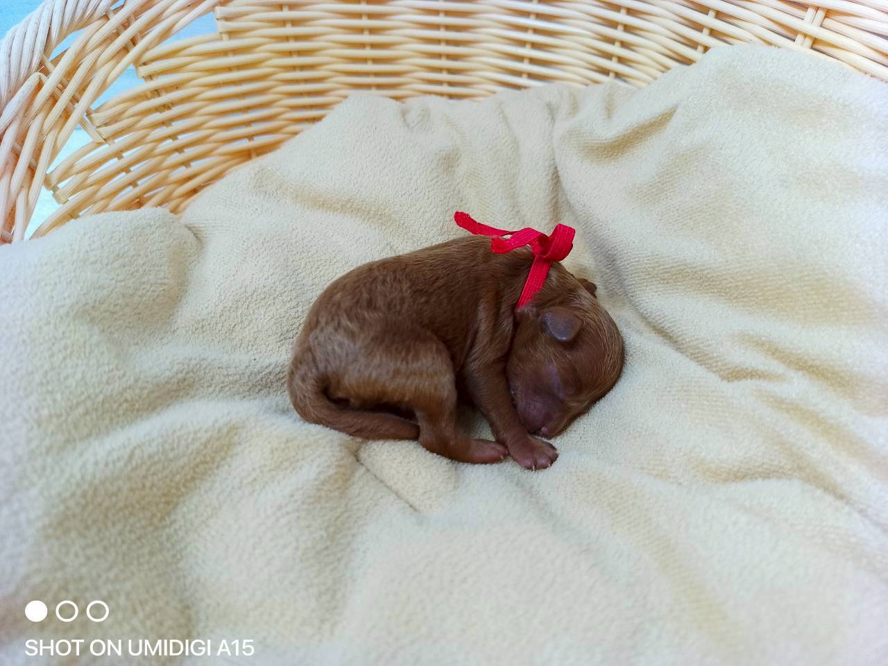赤ちゃん写真1-2