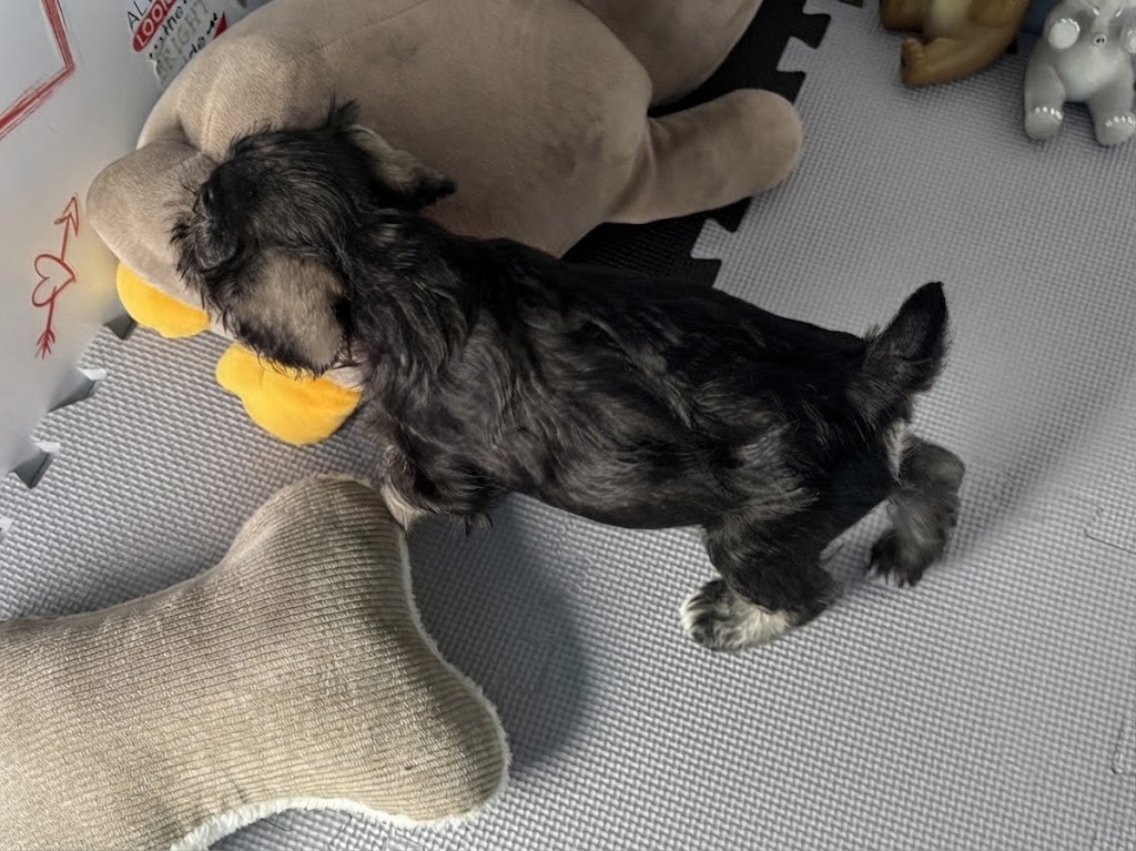 赤ちゃん写真3-3