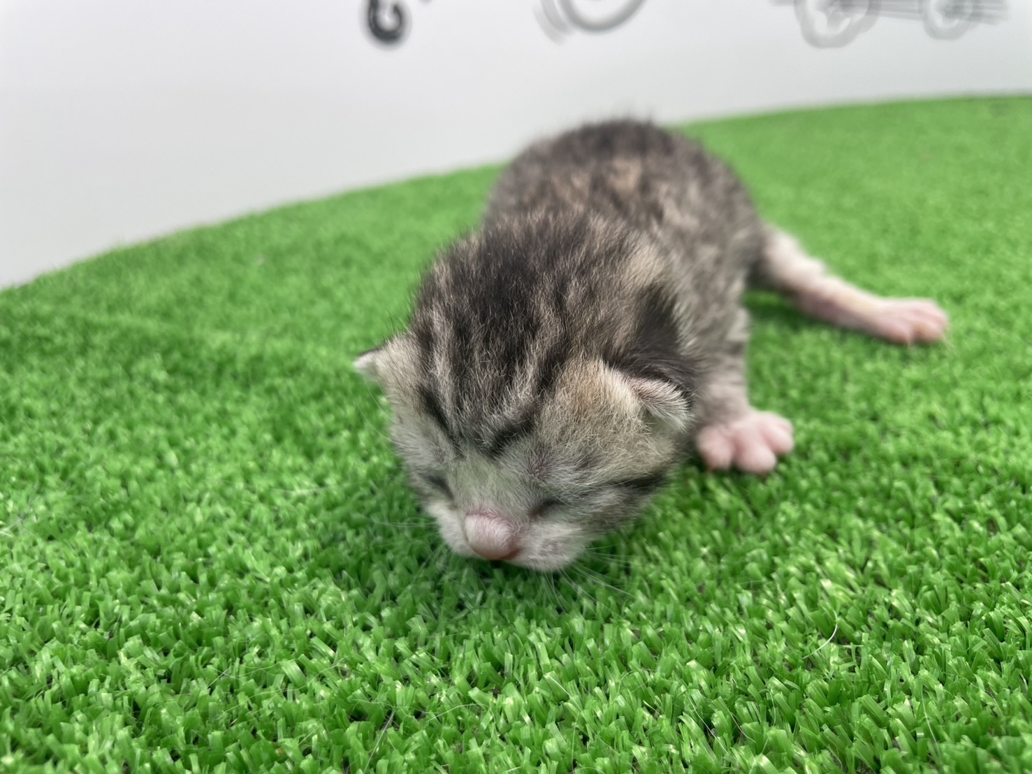 赤ちゃん写真1-1