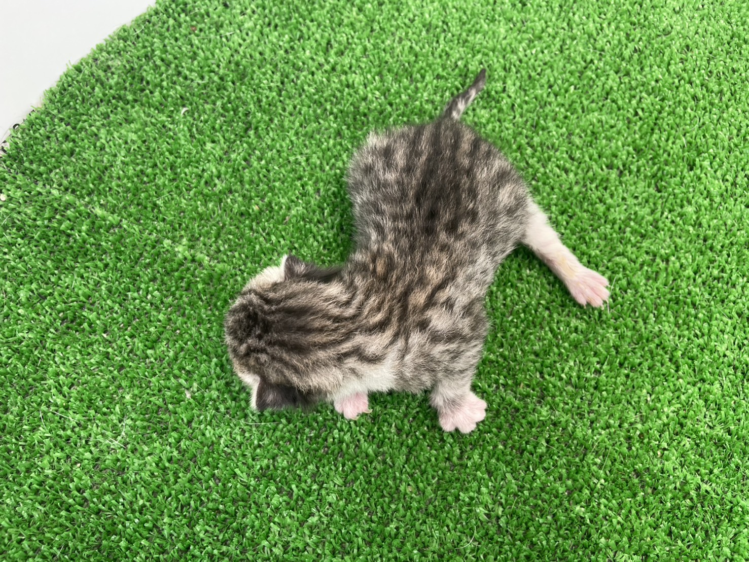 赤ちゃん写真1-3