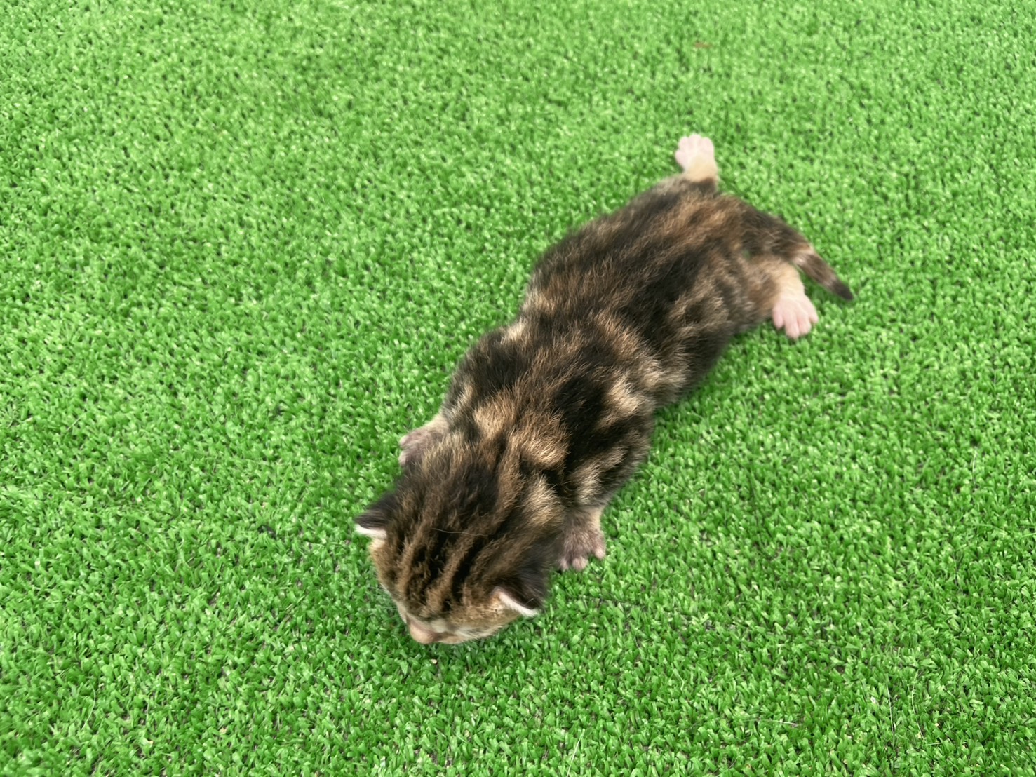 赤ちゃん写真1-3