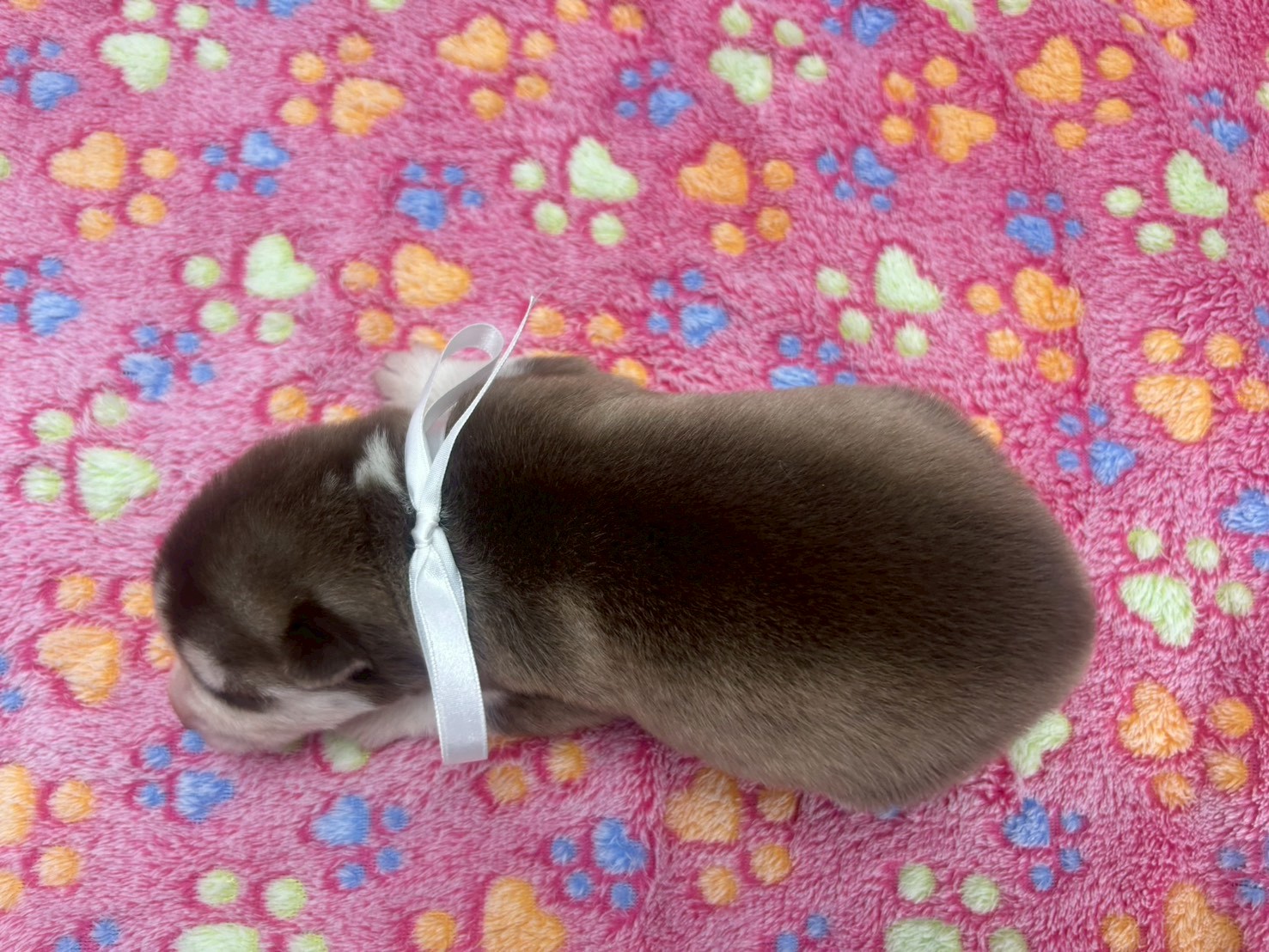 赤ちゃん写真1-3