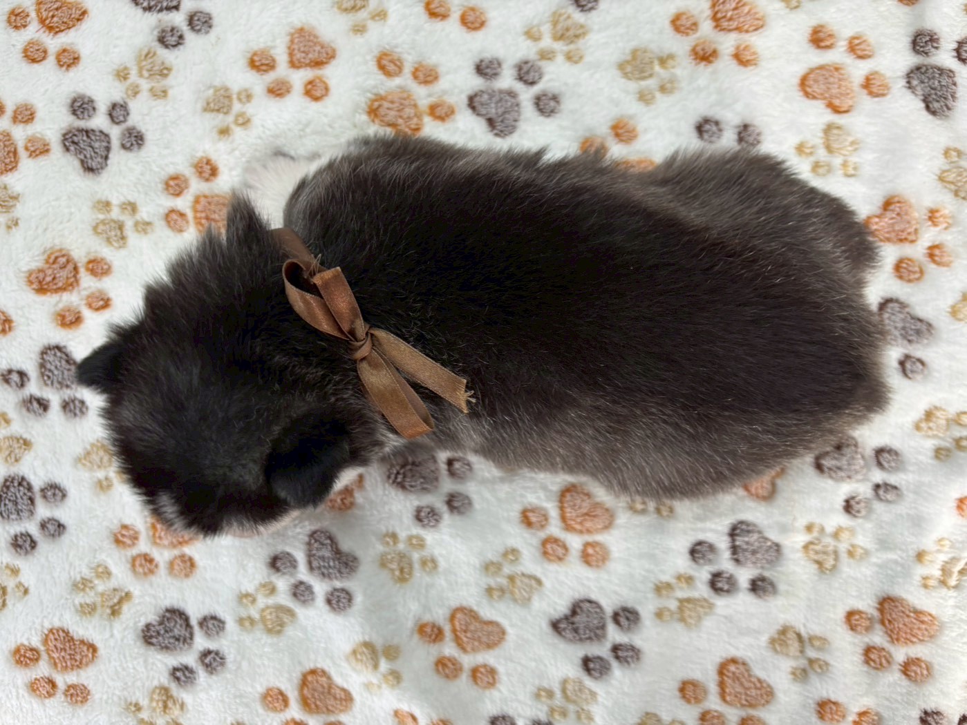 赤ちゃん写真2-3