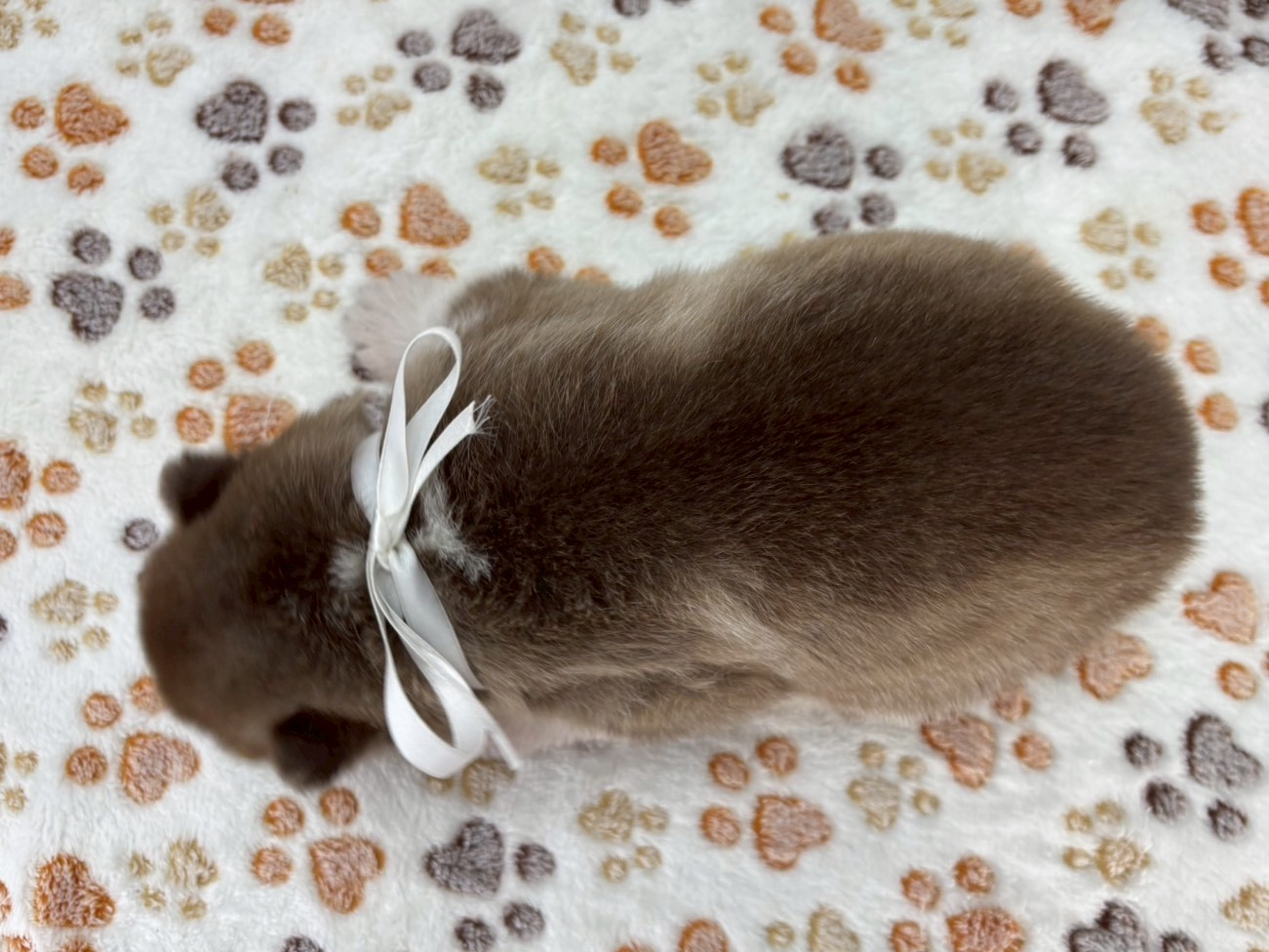 赤ちゃん写真2-3
