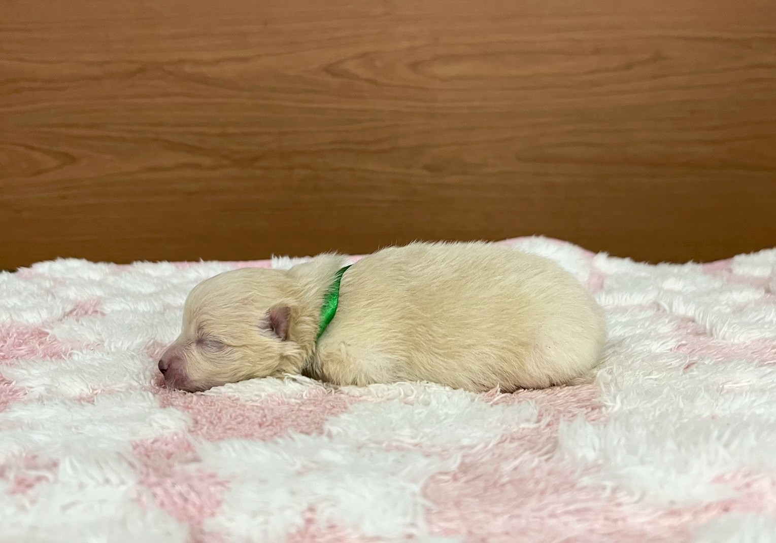 赤ちゃん写真1-2