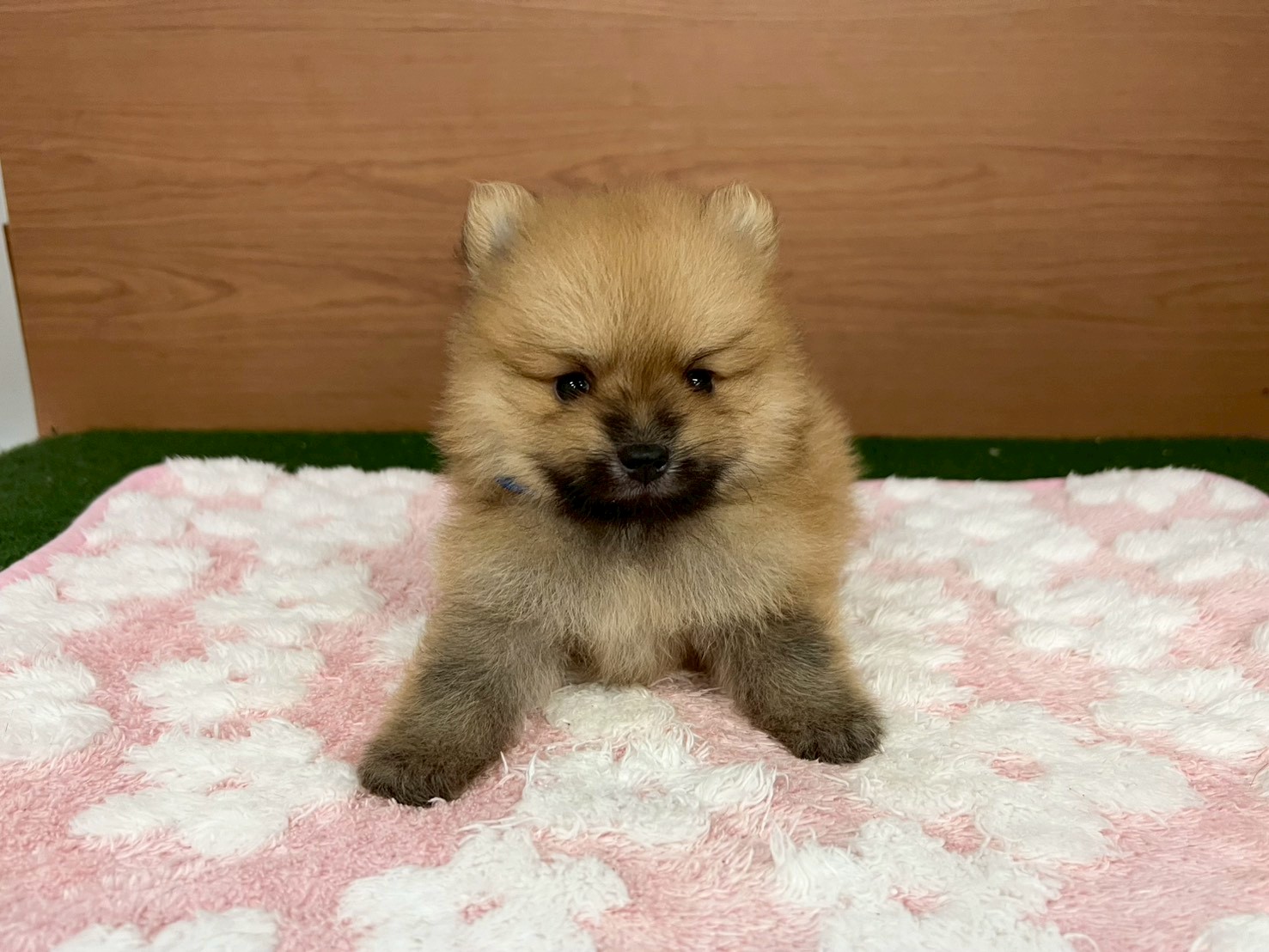 赤ちゃん写真2-1