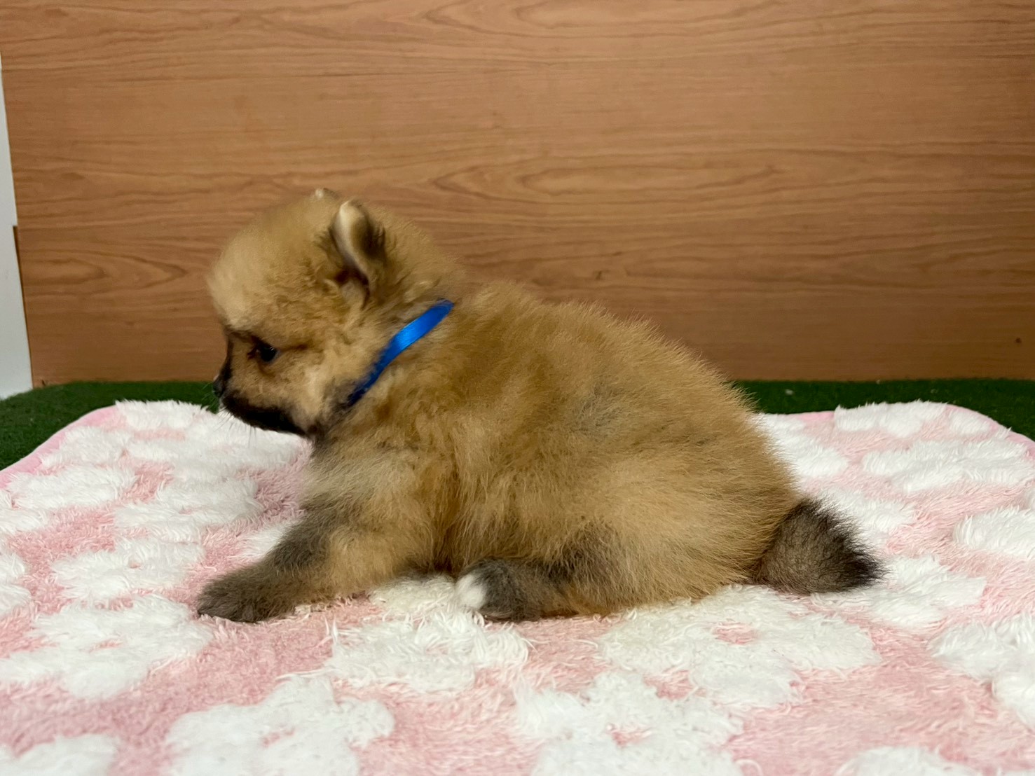 赤ちゃん写真2-2