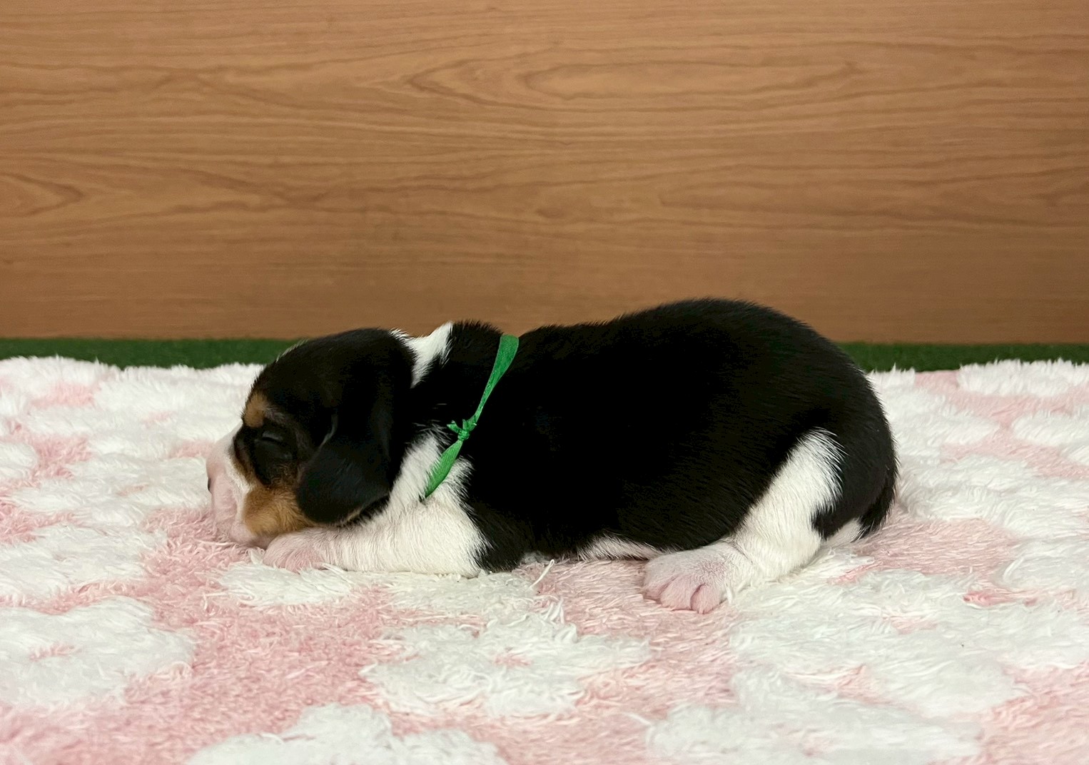 赤ちゃん写真1-2