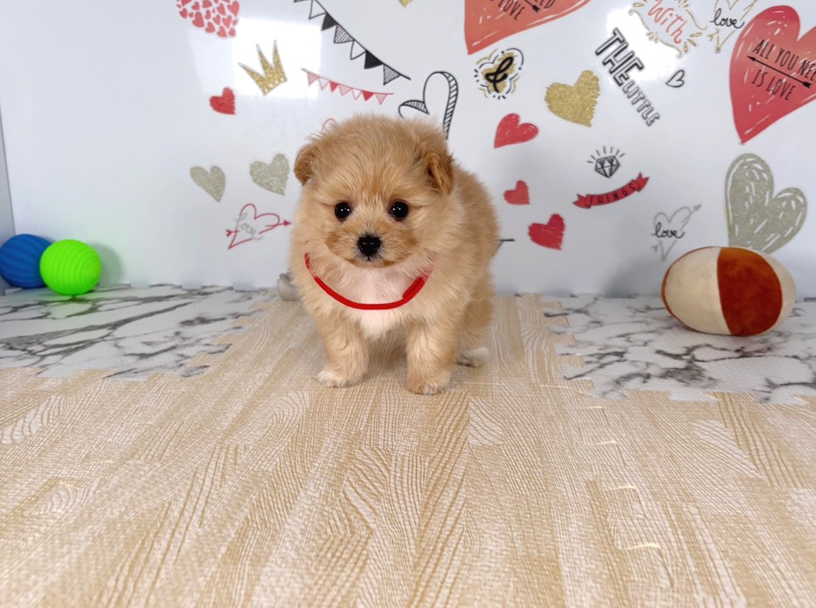 赤ちゃん写真2-1
