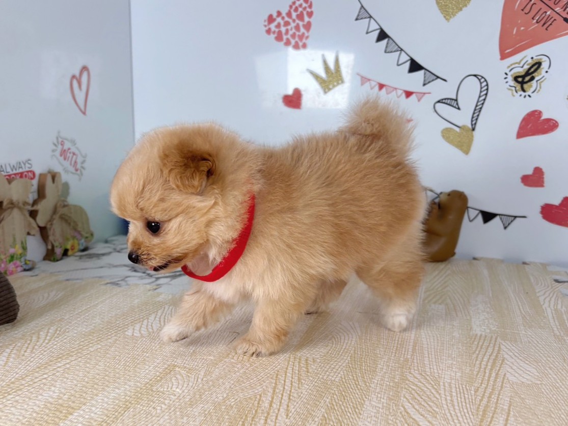 赤ちゃん写真2-2