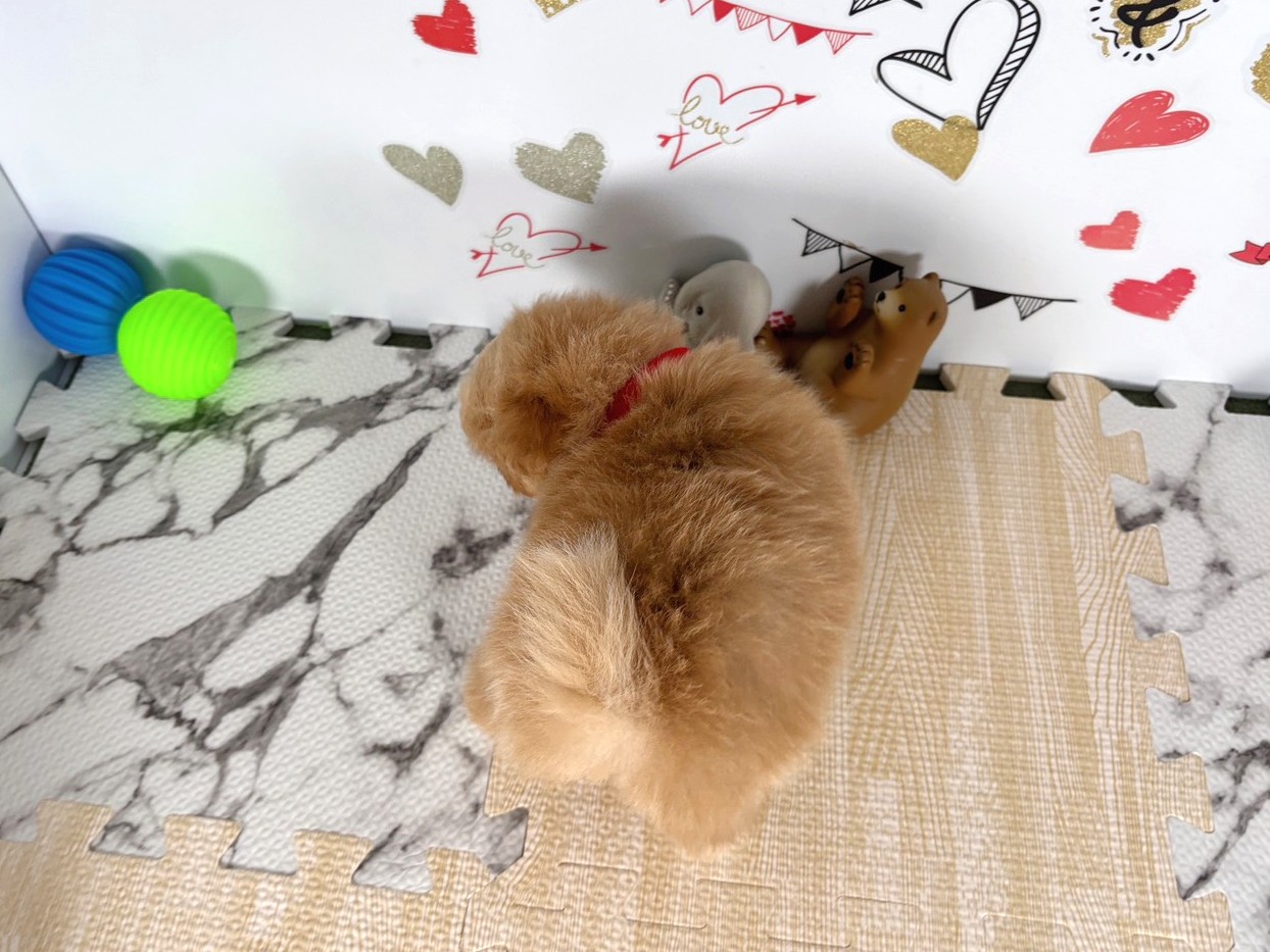 赤ちゃん写真2-3