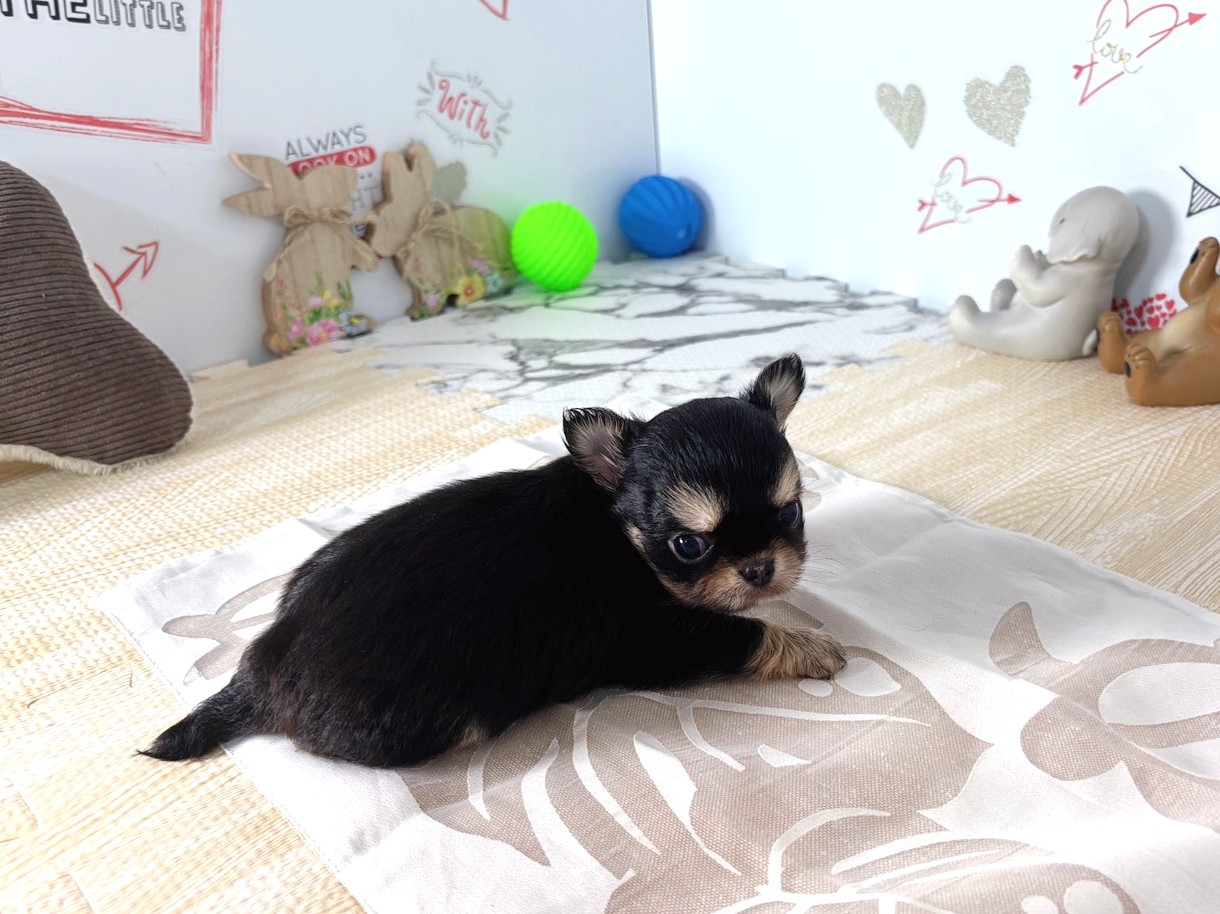 赤ちゃん写真2-2