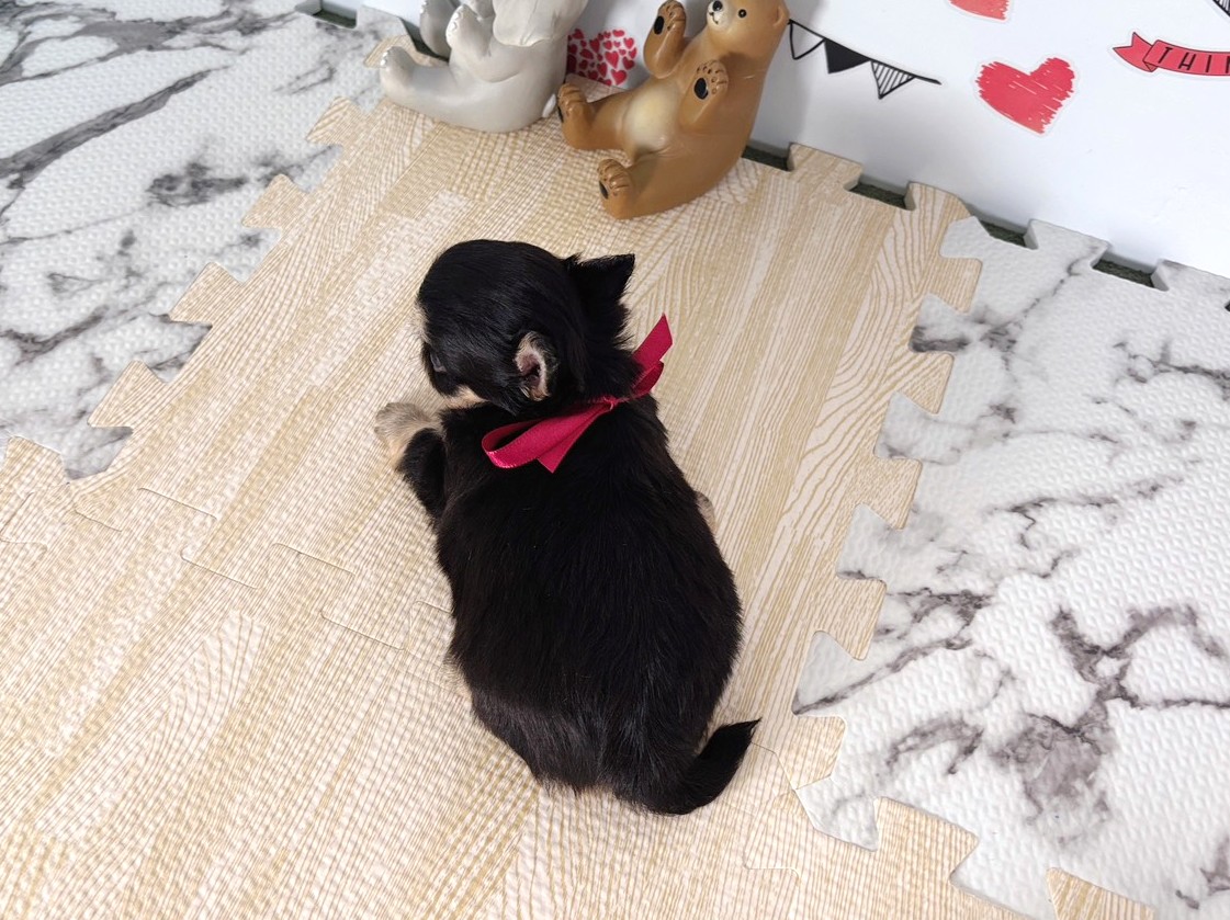 赤ちゃん写真2-3