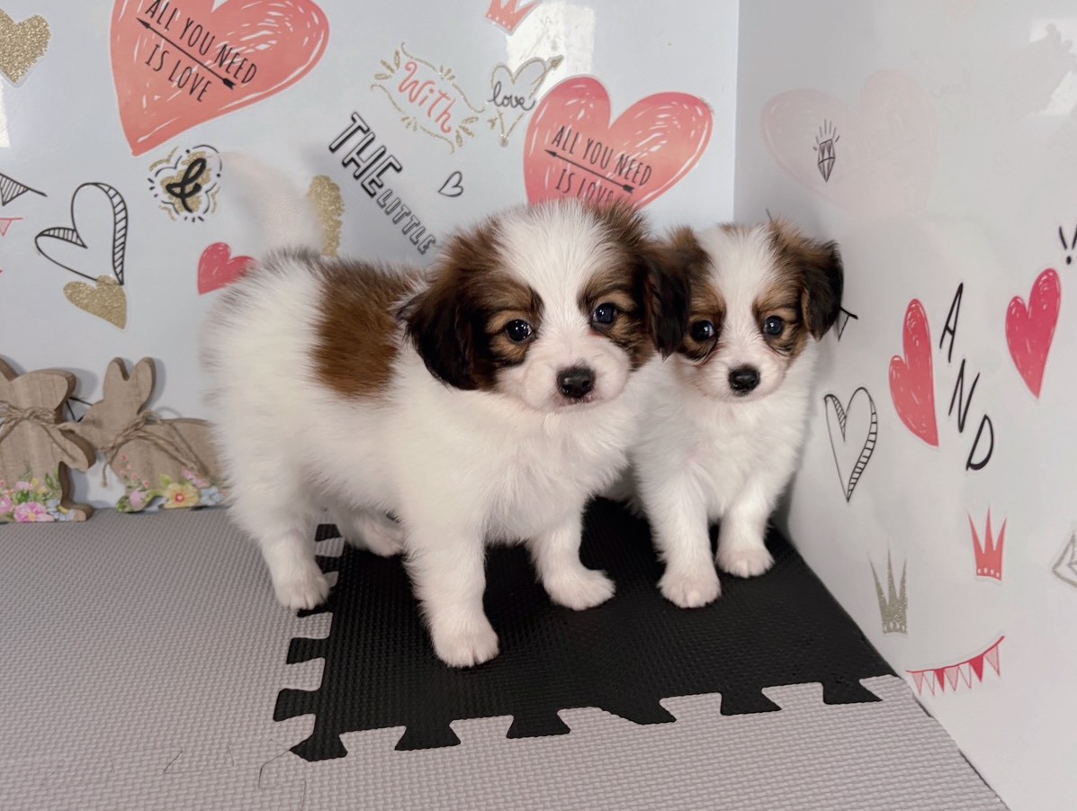 赤ちゃん写真2-3