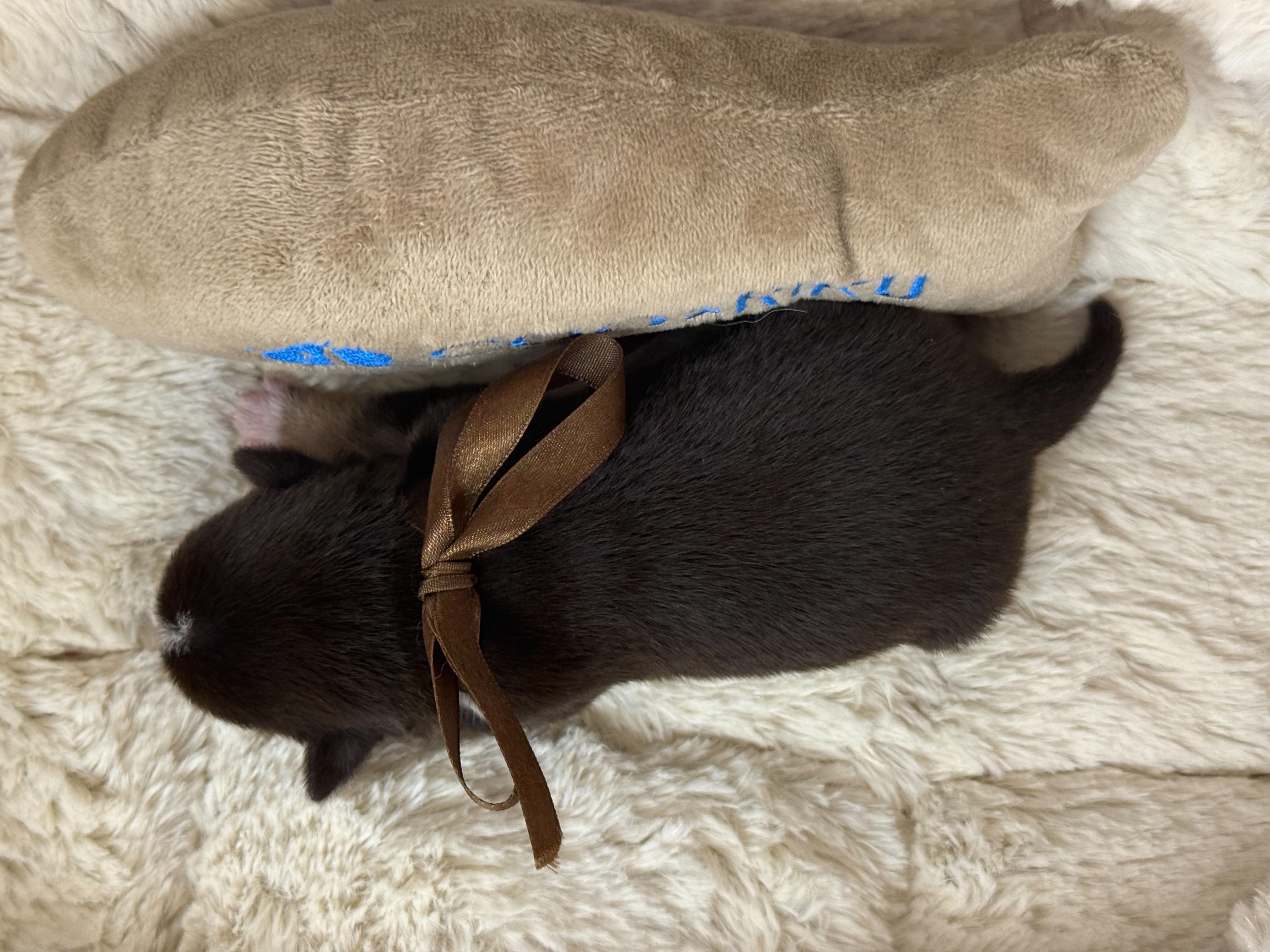 赤ちゃん写真1-3