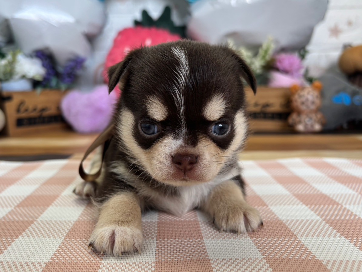 赤ちゃん写真2-1