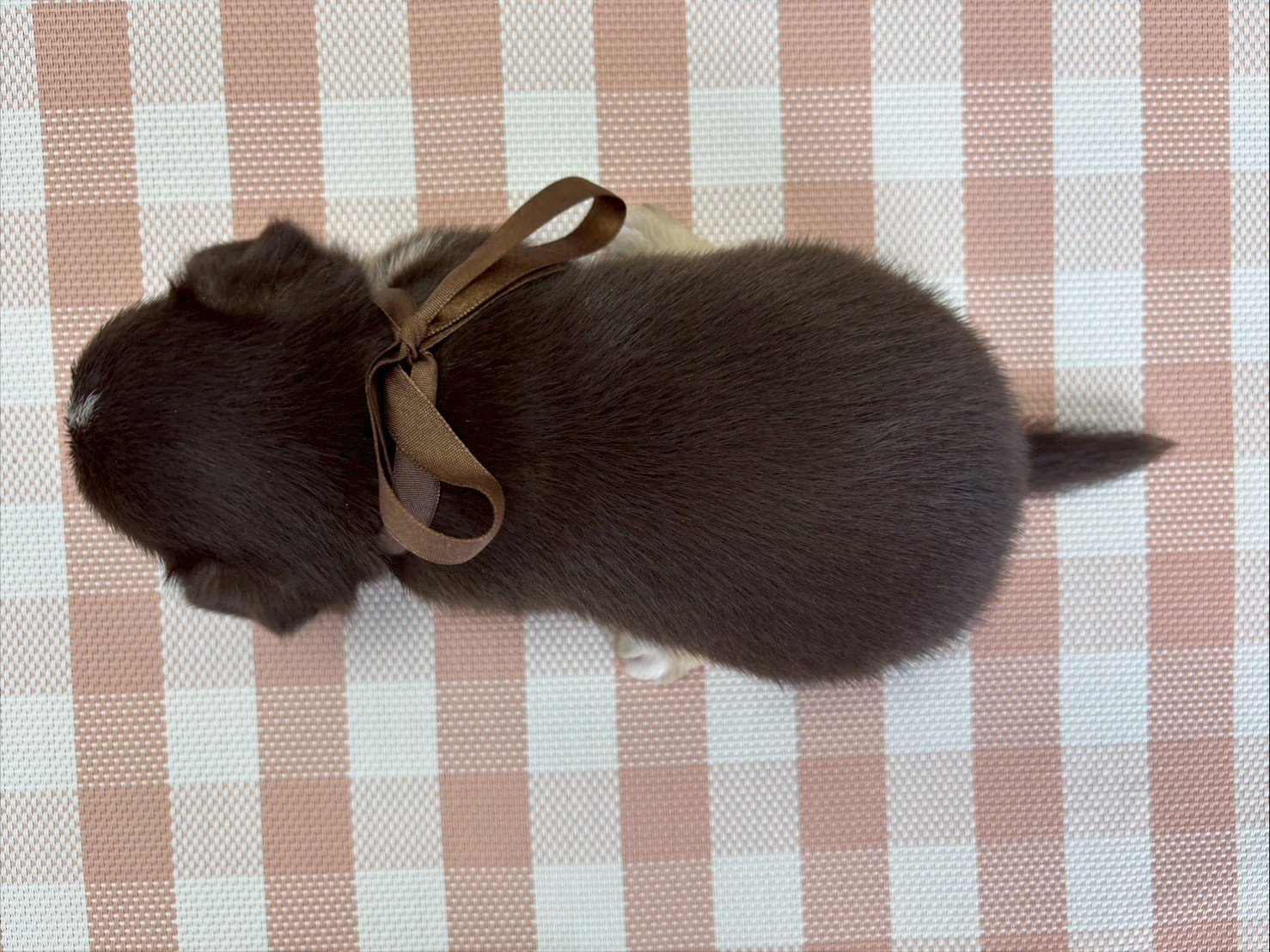 赤ちゃん写真2-3