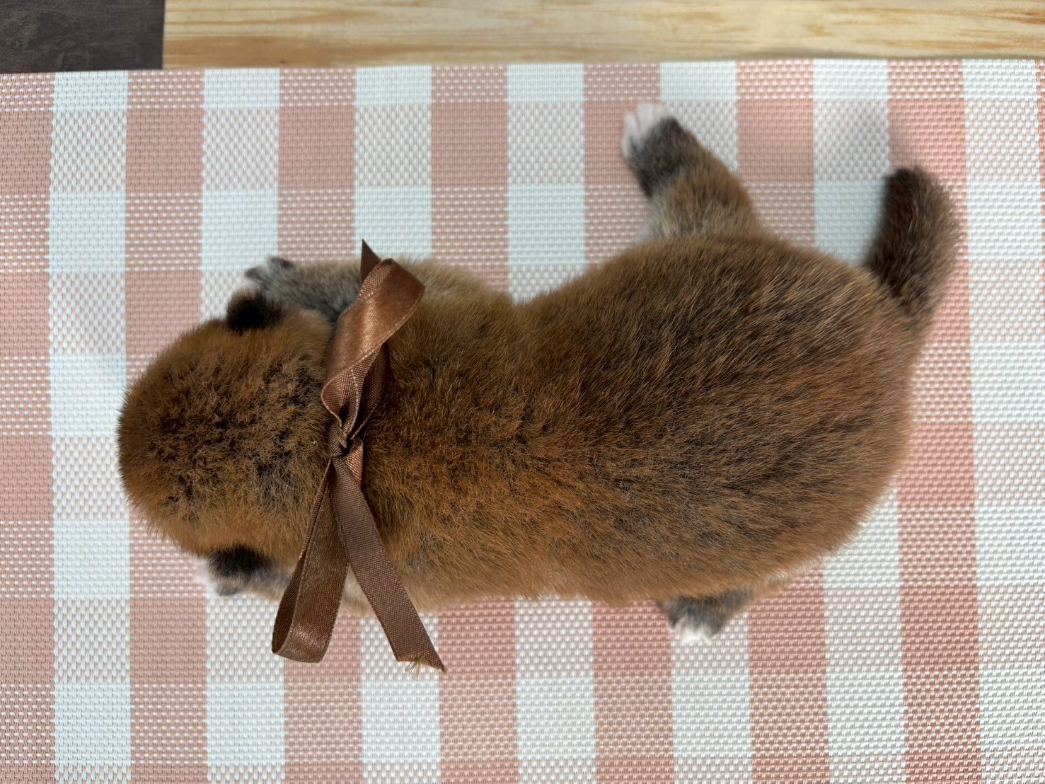 赤ちゃん写真1-3