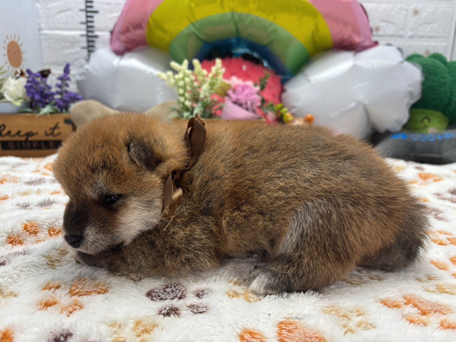 赤ちゃん写真2-2