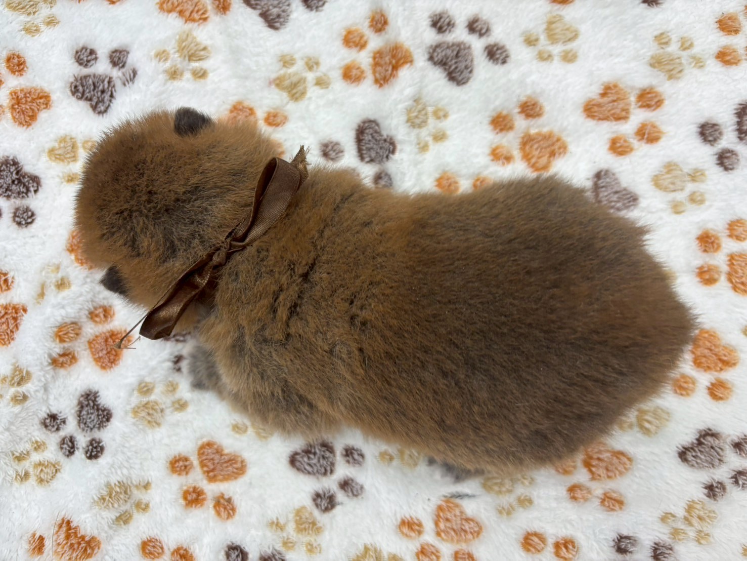 赤ちゃん写真2-3