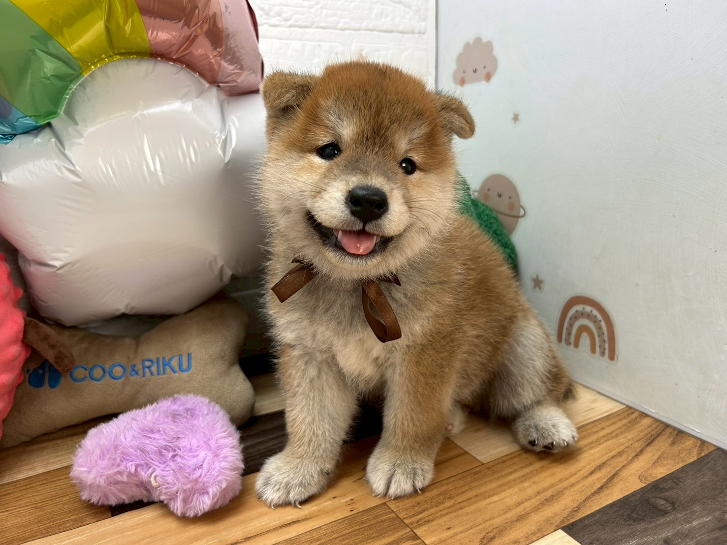 赤ちゃん写真3-1