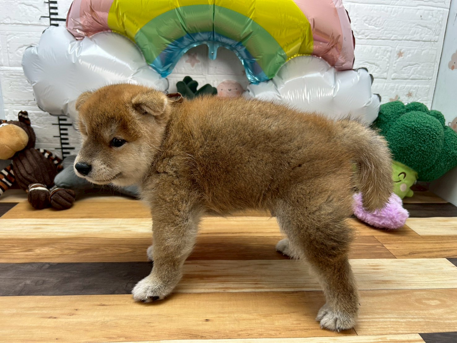 赤ちゃん写真3-2