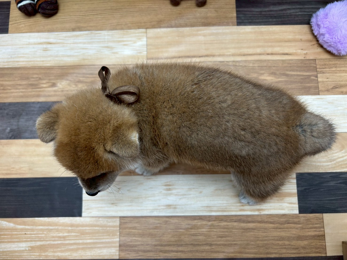赤ちゃん写真3-3