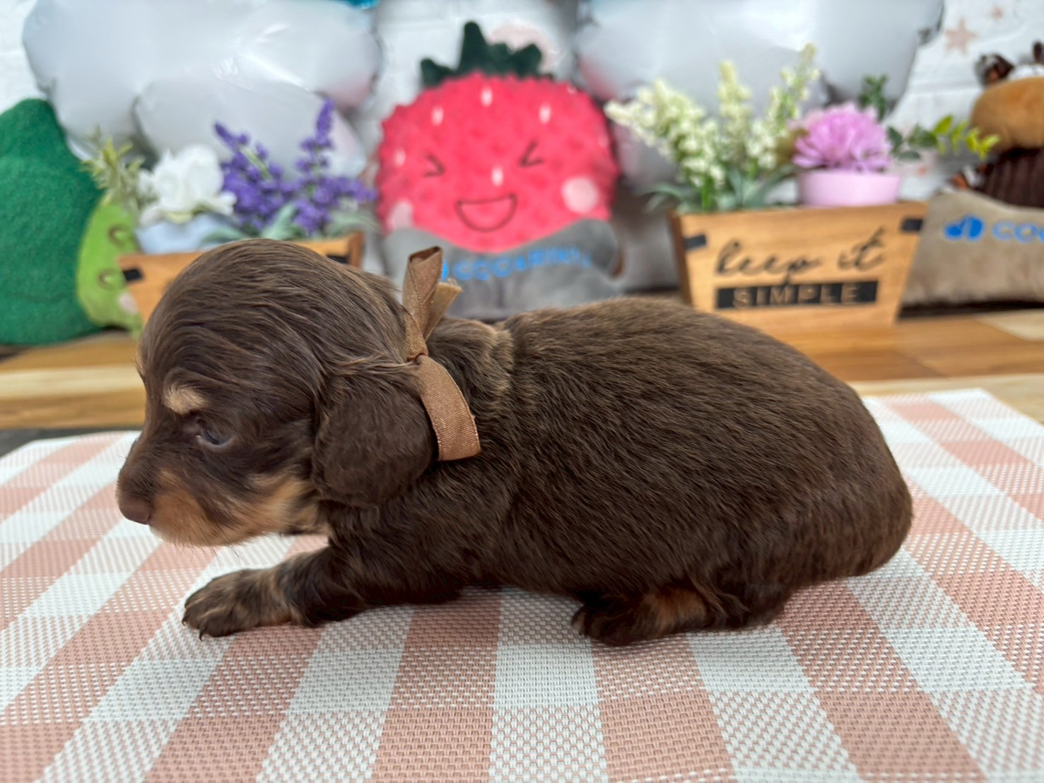 赤ちゃん写真2-2