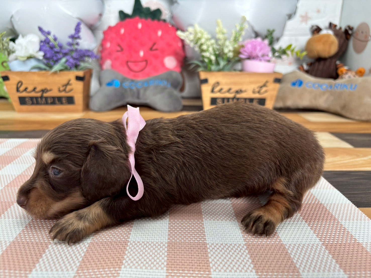 赤ちゃん写真2-2