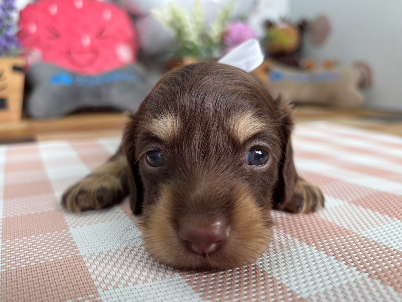 赤ちゃん写真2-1
