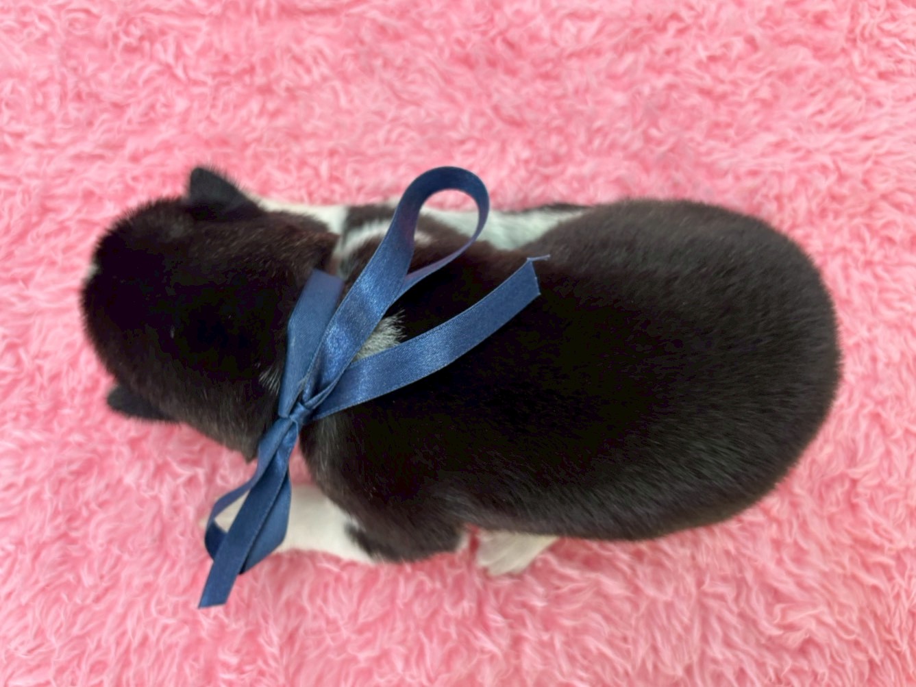 赤ちゃん写真1-3