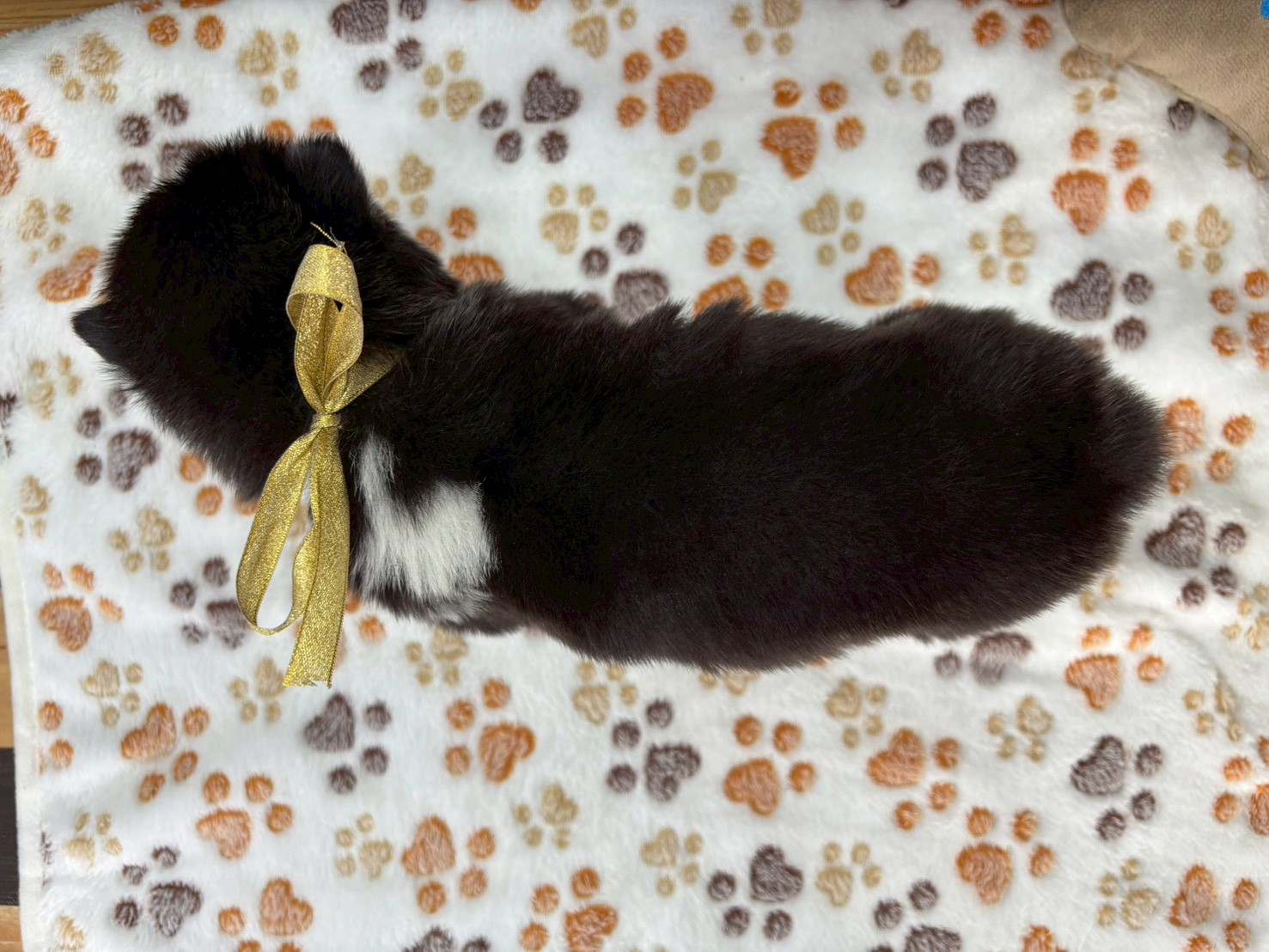 赤ちゃん写真2-3